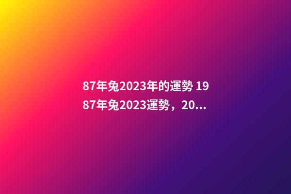 87年兔2023年的運勢 1987年兔2023運勢，2023年兔年運勢及運程-第1張-觀點-玄機派